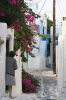 People of Mykonos